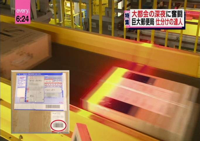 V䂤pbN